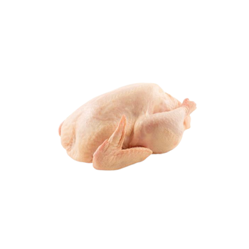 Galinha Pequena